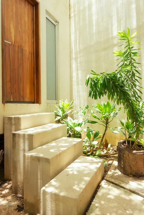 Designer Loft 1 Apartment Tulum Mexico